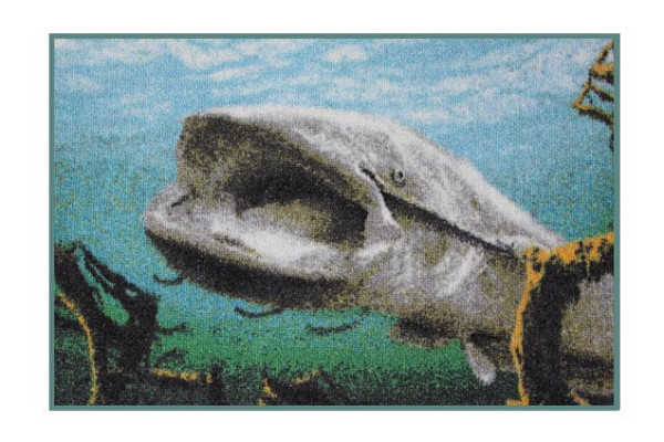 DELPHIN Rohož 3D sumec pod hladinou 