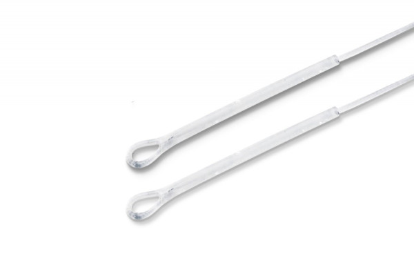 479-srn_yvpg-original