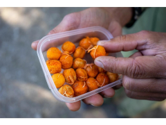 CHYTIL Rohlíkový boilies Maxi 2