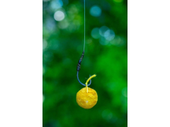 CHYTIL Rohlíkový boilies Maxi 6