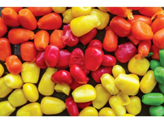 CHYTIL Nakládaná kukuřice Sweet Corn 5