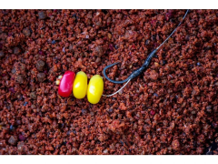 CHYTIL Nakládaná kukuřice Sweet Corn 7