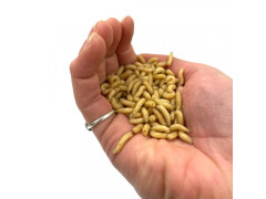 Červ bílý 100ml 2